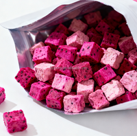 Groothandel Vriesgedroogde Rode Drakenvrucht Blokjes 10x10mm Natuurlijk Zoet Aromatische Pitaya Snacks Bulk FD Gedroogd Fruit