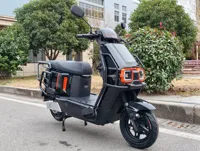Moto électrique à succès 1000-2000W, cyclomoteur électrique 60V/72V