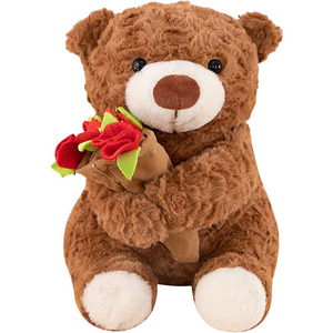 Orsacchiotto di Peluche, Giocattolo Decorativo, Cuscino, Figura da Abbracciare, Bouquet, Oggetto da Collezione, Orsetto da Abbracciare - Product Image 1