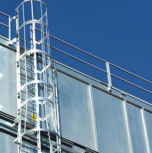 Escaleras de jaula montadas en la pared 2026: Escaleras de <span class=keywords><strong>emergencia</strong></span> para techos industriales de almacenes - Product Image 3
