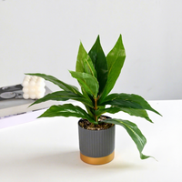 Fleurs artificielles, feuillage vert, petits bonsaïs, ornements décoratifs créatifs, accessoires tendance pour la maison - Direct Jinhua Plants