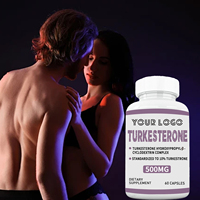Meilleur prix OEM Turkesterone Complément alimentaire en comprimés 500MG 60 capsules Soutien à la croissance musculaire Capsules de complexe de turkesterone