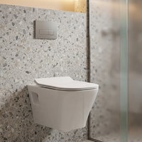 WC mural moderne en céramique brillante, procédé haute pression, pour salle de bain