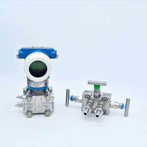 Trasmettitore di Pressione Differenziale per Livello Acqua Caldaia a Basso Prezzo, 1000mmH20 - Product Image 2