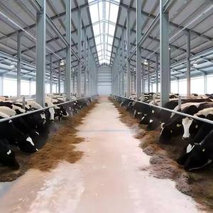 Edificio escolar de marco de acero asequible de almacenamiento fácilmente ensamblado para uso en oficina Aplicación de granja - Product Image 2