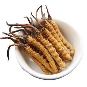 Grosir organik 1% Cordycepin bubuk <span class=keywords><strong>Cordyceps</strong></span> jamur <span class=keywords><strong>Cordyceps</strong></span> Sinensis ekstrak - Product Image 3