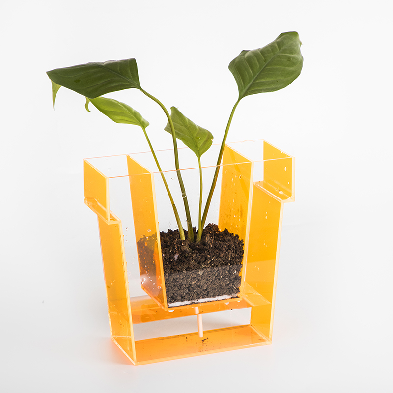 Homeesweet Неон акриловая ваза Lucite Perspex вазы акриловая Цветочная ваза для рабочего стола