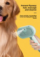 Peigne de toilettage électrique automatique anti-statique pour animaux de compagnie, avec pulvérisation, réutilisable, moderne, pour réduire les poils lâches et nettoyer la peau.