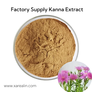 Poudre d'extrait de Kanna d'extrait de plante de soutien d'humeur d'<span class=keywords><strong>Anti</strong></span>-dépression d'approvisionnement d'usine 10:1 - Product Image 3