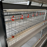 Système de cage à poules moderne à 4 niveaux en forme de H, nettoyage manuel, durable, nouvelle cage à batterie en acier pour élevage de volailles, maille