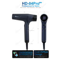Secador de Pelo de Alta Velocidad de 110000 RPM de Marca Privada, Certificado CE, Fabricante Profesional de Productos para el Cuidado del Cabello OEM ODM, MOQ 500