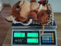 Servicio de Evaluación de Muestras