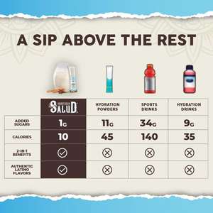 Stock en almacén de EE. UU. <span class=keywords><strong>para</strong></span> dropshipping: Paquetes de hidratación 2 en 1 + Polvo de electrolitos <span class=keywords><strong>para</strong></span> la inmunidad, Mezcla <span class=keywords><strong>para</strong></span> bebida Horchata Agua Fresca, Saúco - Product Image 4