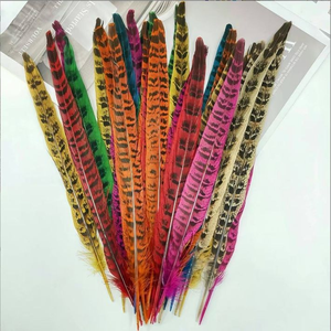Vente en gros de plumes teintes de queue de faisan 10-35 cm naturelles pour chapeaux de chapellerie - Product Image 1