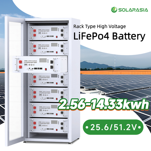 Rack Mount Lithium Ion Batteries Pack 25.6V 51.2V 100Ah 200Ah 314Ah 6000 Cycle Battery Supports Parallel Use of 15 Batteries
