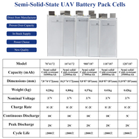 Batterie au lithium polymère à haute capacité, batteries à l'état solide 3,7 V 30 Ah 31 Ah 27 Ah 22 Ah, batterie au lithium pour drone agricole