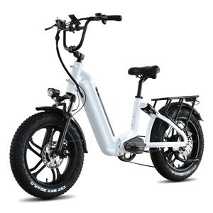 Scooter/Motocicletta Elettrica a Due Ruote con Pneumatici Larghi da 20 Pollici, Motore Brushless, Batteria al Litio da 20Ah, Sospensione Soft-tail Esclusiva - Product Image 5