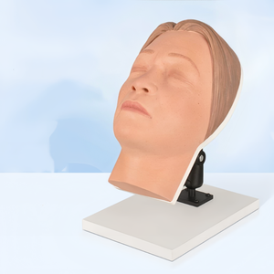 Modèle d'entraînement en silicone de tête humaine pour injections chirurgicales et cosmétiques avec nerfs faciaux et vaisseaux sanguins simulés - Product Image 2