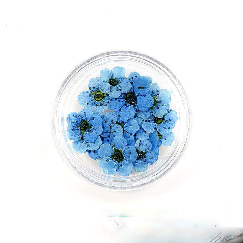 Bleu foncé