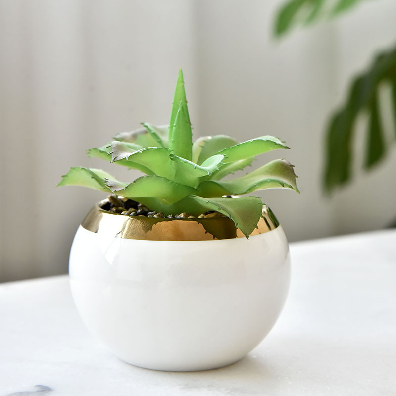 White flower pot (without plants)