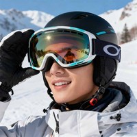 Vista Factory OEM Vente en gros de lunettes de ski, logo personnalisé OEM, lunettes de ski rétro sans monture, anti-buée, protection UV