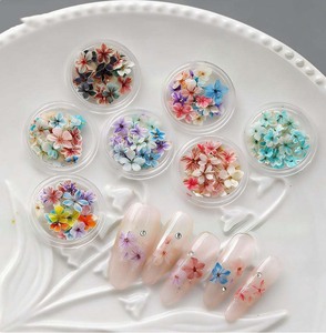 1 frasco de <span class=keywords><strong>flores</strong></span> <span class=keywords><strong>secas</strong></span> florales degradadas de verano para decoración de <span class=keywords><strong>uñas</strong></span>, <span class=keywords><strong>flores</strong></span> naturales de colores mixtos, hechas a mano, DIY, <span class=keywords><strong>uñas</strong></span> postizas prensadas - Product Image 2