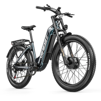 Bicicleta Eléctrica de Doble Motor 48V 25AH con Neumáticos Anchos de 26 Pulgadas, 7 Velocidades, Freno de Disco Hidráulico, Pantalla a Color, para Subir Pendientes, Venta al por Mayor OEM
