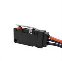 Micro-interrupteur étanche WZ100A01-W2, avec fil de connexion, poussoir à broche scellé IP67, divers styles disponibles, directement de l'usine