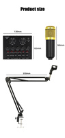 Ensemble Professionnel BM 800 PC Carte Son V8 Micro Condensateur Studio BM800 pour Karaoké Enregistrement Podcast et Streaming en Direct