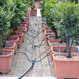 Kit d'irrigation goutte à goutte de haute qualité en Chine, 50 pièces, 50 cm, avec raccords de tuyaux PE pour serres et cultures maraîchères - Product Image 4