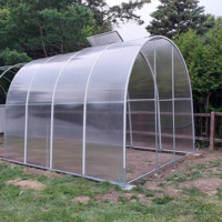 Mini-serre en polycarbonate avec protection UV, tunnel de jardin en feuille de PC pour la culture des plantes dans la cour