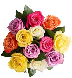 Ramo de Rosas Artificiales Multicolores Modernas y Ecológicas al por Mayor para Decoración de Oficina, Hogar, Bodas y Fiestas del Día de la Madre - Product Image 1