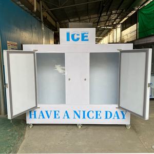 Congélateur vertical à deux portes pour sacs de glace, approvisionnement direct usine, prix compétitif - Product Image 4