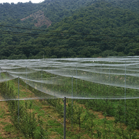 Filet anti-insectes en HDPE 60 mailles sur mesure, résistant aux UV, pour serre agricole et contrôle des parasites des légumes