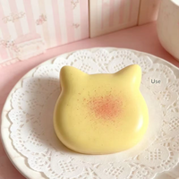 Produit Populaire : Jouet Squishy Mignon Chat Toast Kawaii en Mousse PU OEM Anti-Stress Emballé Individuellement Zoey Squishy