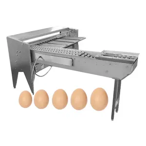 5 Row Lane Egg Sorter Scale and Grader Weigh Inspection 10000 Egg/hr Duck Egg Grade Machine for Sale