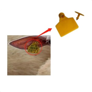 UHU siêu tần số cao RFID động vật kỹ thuật số nhãn lợn bò cừu Tai RFID nhãn trang trại phòng chống dịch bệnh kiểm soát truy cập thẻ - Product Image 3