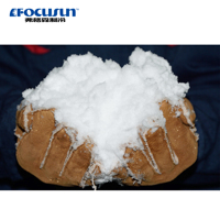 Veille de Noël Focusun Snowfall Machine 2t Machine de pulvérisation de neige Véritable fabricant de neige faisant la machine pour des événements