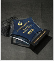 ADL Classic Blue Flame Crystal Trophy Récompenses d'événements sportifs personnalisés Souvenirs Annual Service Awards