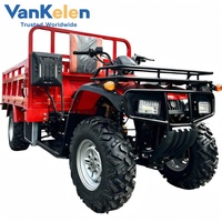 Quad utilitaire 4x4 DL300U 300cc, puissant véhicule tout-terrain pour travaux agricoles et de ranch, démarrage électrique, pour adultes