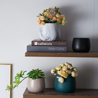 Simpele succulenten potten van keramiek voor balkons, tafeldecoraties, Scandinavische moderne vergulde kleine bloempotten