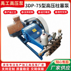 Bomba de pistón de alta presión Woo Gong 3DP-75 de acero inoxidable eléctrica hecha a medida para limpieza de alta presión - Product Image 5