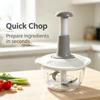 Hachoir manuel portable OEM pour légumes, ail et oignon, avec fonction de pression, pour usage domestique