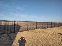 Pourquoi les clôtures en aluminium sont-elles populaires ? # Clôture Métallique Ornementale à Faible Entretien pour Jardins Résidentiels Américains - 1 exemplaire en Amérique du Nord