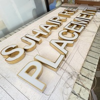 Lettres en relief 3D en acrylique personnalisées pour mur extérieur, rétroéclairées par LED, finition dorée polie, signalétique publicitaire pour entreprise, magasin, parc
