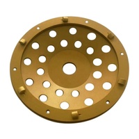Disco de Diamante PCD de 125 mm OEM para Eliminar Epoxi y Herramientas de Pulido de Concreto