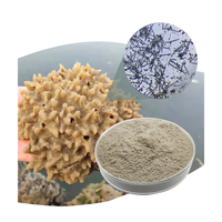 Poudre d'éponge hydrolysée 80% pureté - Spicules d'éponge naturelles pour le contrôle de l'acné et la réduction du sébum, qualité cosmétique pour les soins de la peau