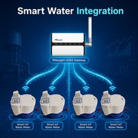 Medidor de Agua Inteligente LoRaWAN, IP68 Impermeable, Inalámbrico, Integración AMR/AMI/BMS, LoRa IoT, Proyecto para Edificios de Apartamentos