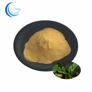 Chất Lượng Cao Phyllanthus Niruri Chiết Xuất/Chanca Piedra Chiết Xuất