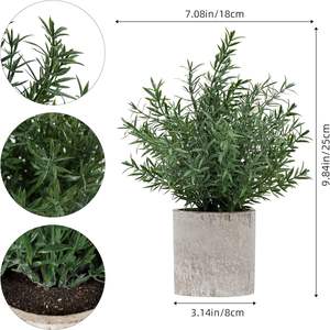 C308 Plante artificielle Eucalyptus <span class=keywords><strong>Romarin</strong></span> Plantes en pot pour la décoration intérieure et extérieure Bonsaï Plante verte artificielle - Product Image 5